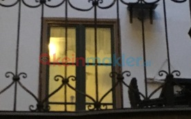 Ilse-Buck-Straße, 1220 Wien ID:0