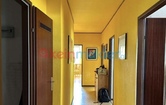Sperrgasse 11, 1150 Wien; ID:10