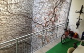 Fischergasse 35, 8010 Graz; ID:5