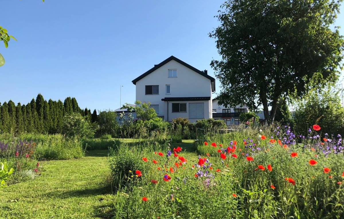 Steinamangerer Straße, 7400 Oberwart; ID:0