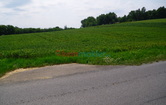 Steinbacherstraße, 7551 Stegersbach; ID:2