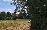 Schluchtengasse 000, 7425 Wiesfleck; ID:16
