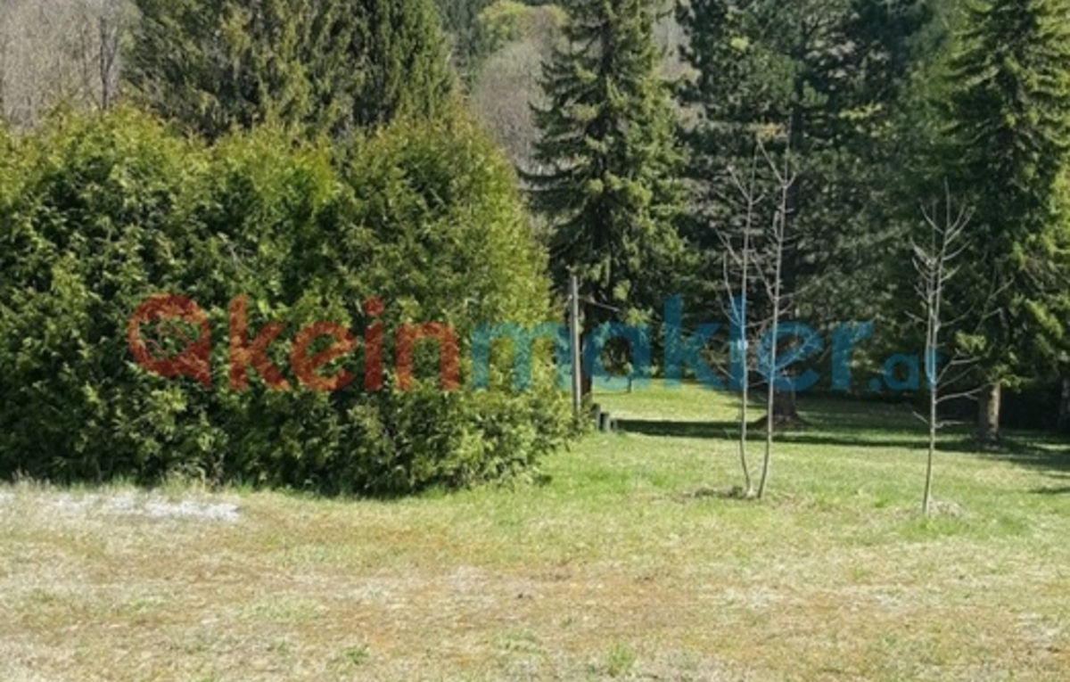 Almseestraße, 4644 Scharnstein; ID:0