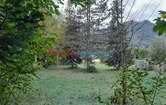 Almseestraße, 4644 Scharnstein; ID:7