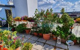 Missindorfstrasse, 1140 Wien; ID:1