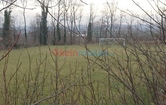 Obere Haupstrasse 22, 2473 Potzneusiedl; ID:7
