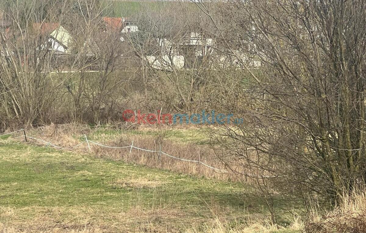 Obere Haupstrasse 22, 2473 Potzneusiedl; ID:0
