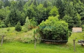 Werksiedlung, 8664 Sankt Barbara im Mürztal; ID:3