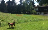 Claudiastraße, 6100 Seefeld; ID:0
