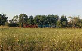 , 9222 Nickelsdorf ID:0