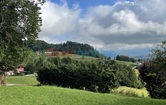 Zwanzgerberg, 9065 Ebenthal in Kärnten; ID:10