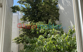 Dietrichgasse 16A, 1030 Wien; ID:9