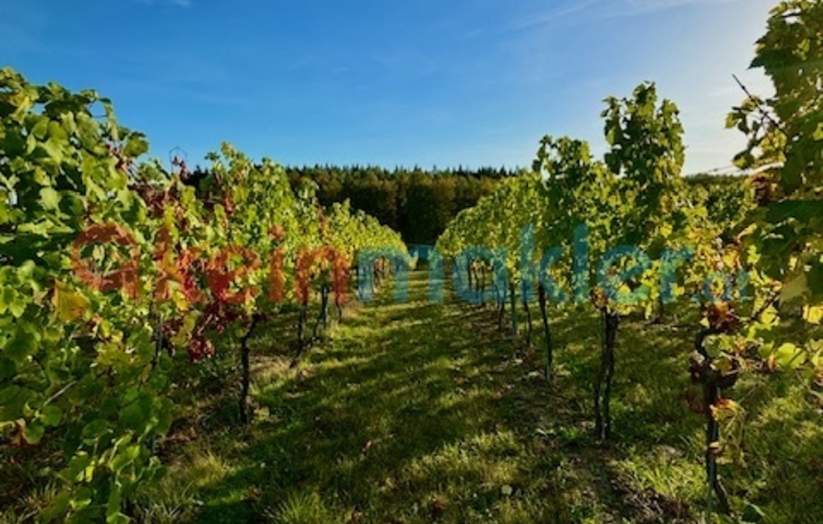 Stadtgraben 32, 3500 Krems; ID:0