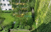 Schelleingasse, 1040 Wien; ID:5