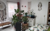 Jettsdorfer Straße 11, 3484 Grafenwörth; ID:6