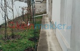 Jettsdorfer Straße 11, 3484 Grafenwörth; ID:14