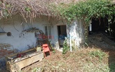 , 2165 Drasenhofen; ID:1