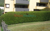 Blutschwitzerweg 37, 6166 Medraz; ID:9