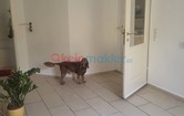 Rudolf-Pöch-Gasse, 1140 Wien; ID:1
