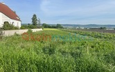 Gartengasse 43, 7061 Trausdorf an der Wulka; ID:2