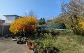 Laaer-Wald-Straße, 1100 Wien; ID:2